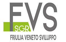 FVS SGR